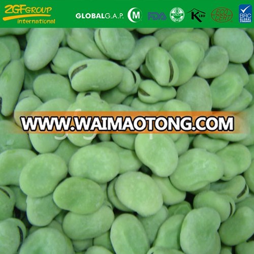 2018 IQF Broad bean