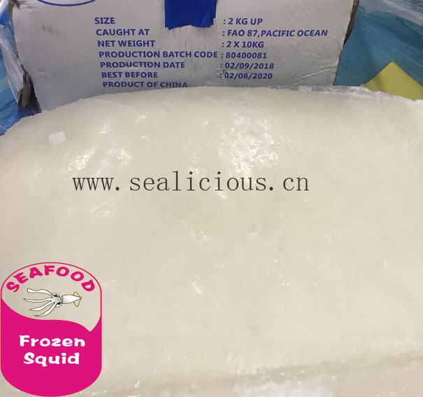frozen giant squid f